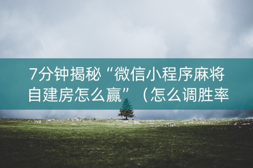 7分钟揭秘“微信小程序麻将自建房怎么赢”（怎么调胜率)