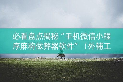 必看盘点揭秘“手机微信小程序麻将做弊器软件”（外辅工具)