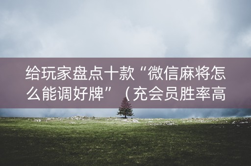 给玩家盘点十款“微信麻将怎么能调好牌”（充会员胜率高)