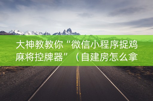 大神教教你“微信小程序捉鸡麻将控牌器”（自建房怎么拿好牌)
