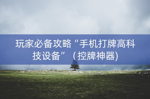 玩家必备攻略“手机打牌高科技设备”（控牌神器)