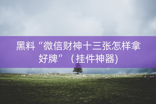 黑料“微信财神十三张怎样拿好牌”（挂件神器)