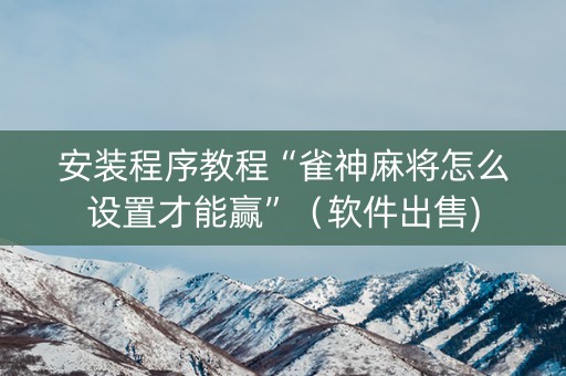 安装程序教程“雀神麻将怎么设置才能赢”（软件出售)