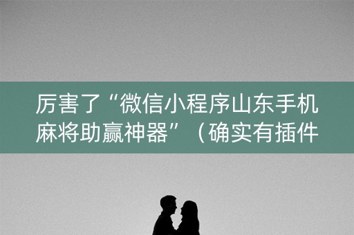 厉害了“微信小程序山东手机麻将助赢神器”（确实有插件吗)