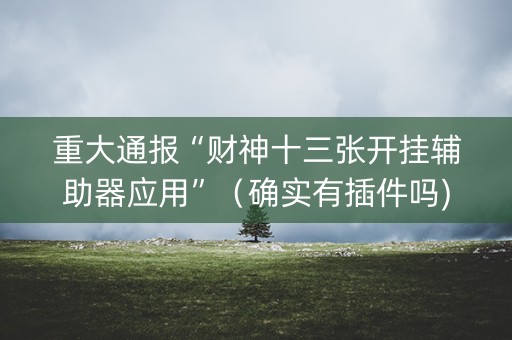重大通报“财神十三张开挂辅助器应用”（确实有插件吗)