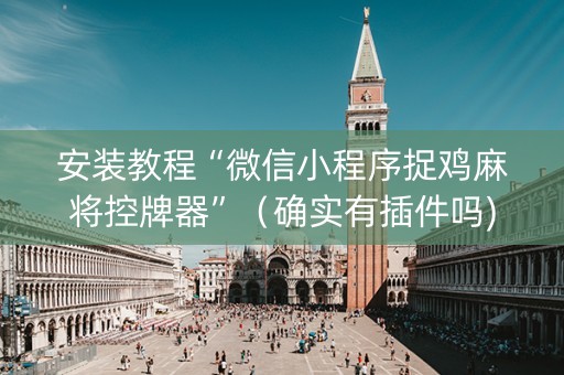 安装教程“微信小程序捉鸡麻将控牌器”（确实有插件吗)