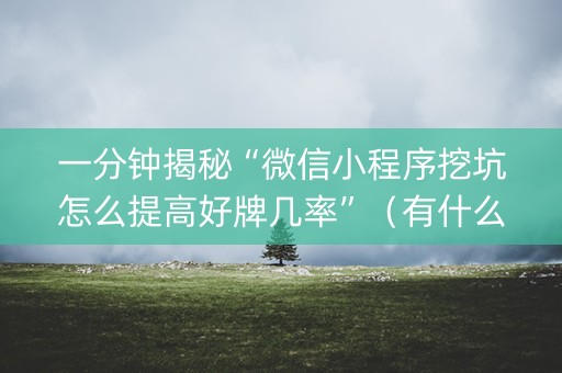 一分钟揭秘“微信小程序挖坑怎么提高好牌几率”（有什么诀窍)