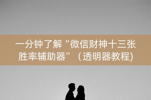 一分钟了解“微信财神十三张胜率辅助器”（透明器教程)