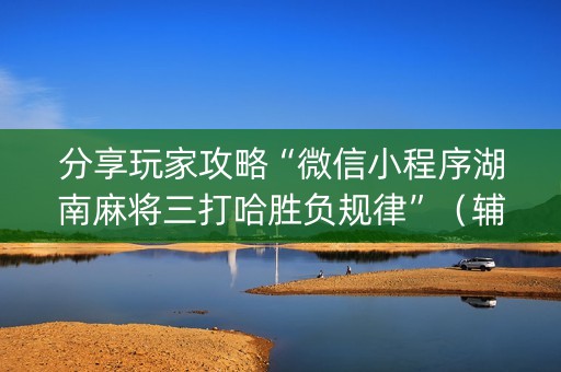 分享玩家攻略“微信小程序湖南麻将三打哈胜负规律”（辅助器通用版)