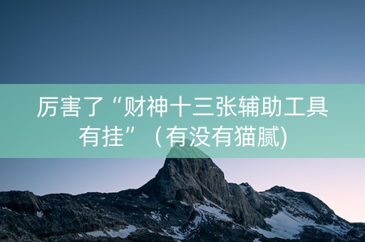 厉害了“财神十三张辅助工具有挂”（有没有猫腻)