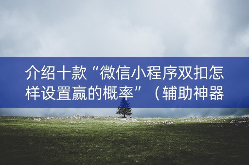 介绍十款“微信小程序双扣怎样设置赢的概率”（辅助神器免费)