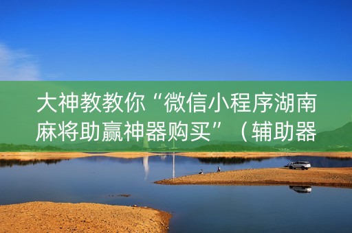 大神教教你“微信小程序湖南麻将助赢神器购买”（辅助器插件)