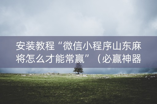 安装教程“微信小程序山东麻将怎么才能常赢”（必赢神器辅助器)