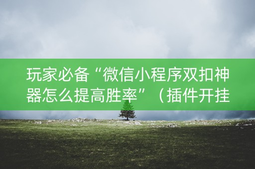 玩家必备“微信小程序双扣神器怎么提高胜率”（插件开挂免费AI)