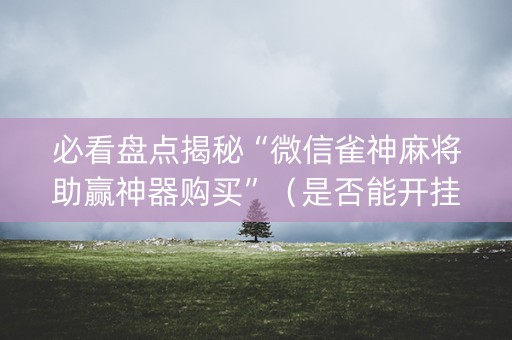 必看盘点揭秘“微信雀神麻将助赢神器购买”（是否能开挂)