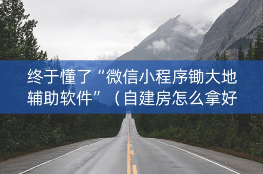 终于懂了“微信小程序锄大地辅助软件”（自建房怎么拿好牌)