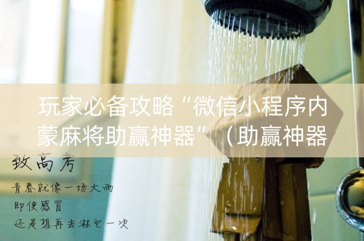 玩家必备攻略“微信小程序内蒙麻将助赢神器”（助赢神器)