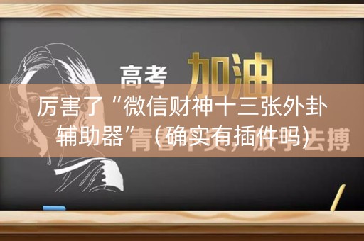 厉害了“微信财神十三张外卦辅助器”（确实有插件吗)