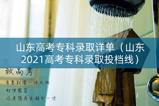 山东高考专科录取详单（山东2021高考专科录取投档线）