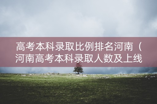 高考本科录取比例排名河南（河南高考本科录取人数及上线率）