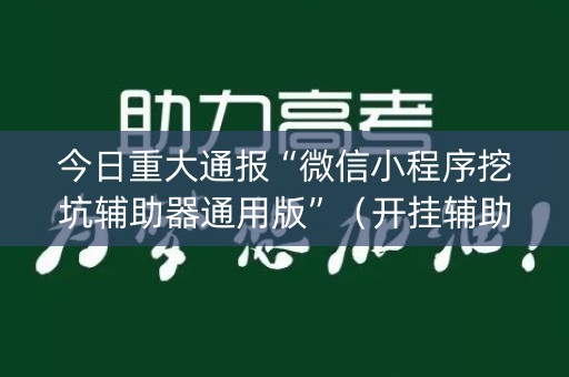 今日重大通报“微信小程序挖坑辅助器通用版”（开挂辅助插件)