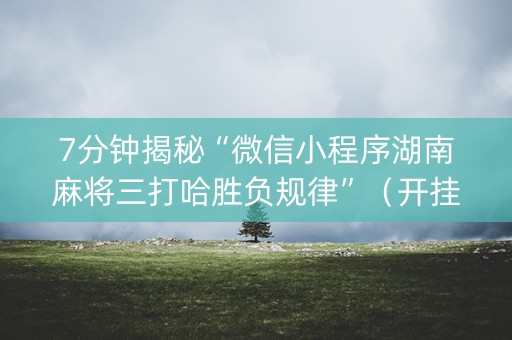 7分钟揭秘“微信小程序湖南麻将三打哈胜负规律”（开挂辅助器脚本)