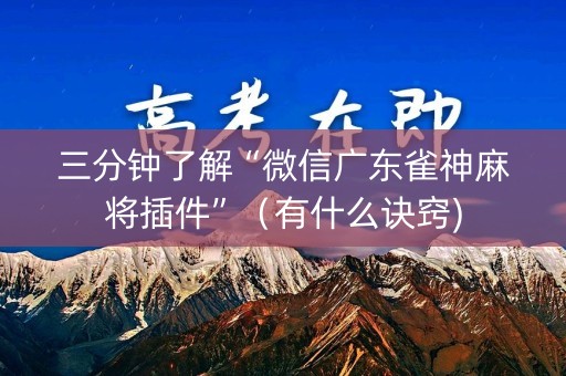 三分钟了解“微信广东雀神麻将插件”（有什么诀窍)