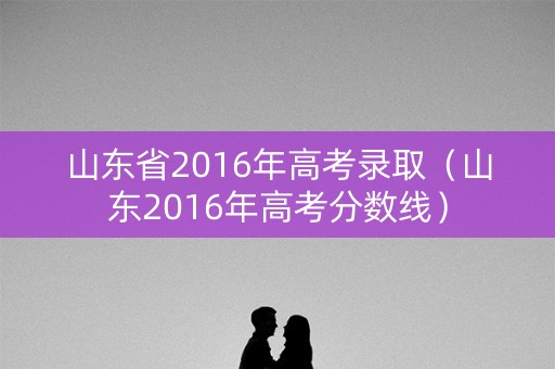 山东省2016年高考录取（山东2016年高考分数线）