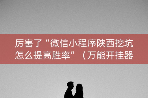 厉害了“微信小程序陕西挖坑怎么提高胜率”（万能开挂器)