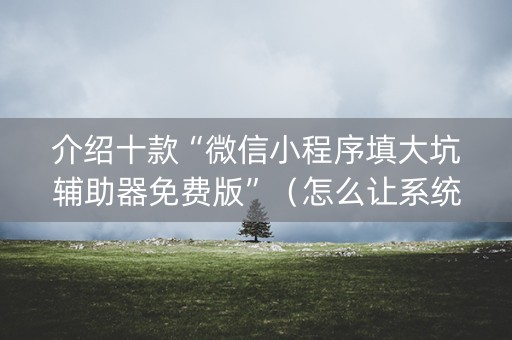 介绍十款“微信小程序填大坑辅助器免费版”（怎么让系统给你发好牌)