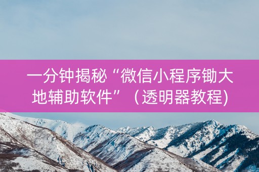 一分钟揭秘“微信小程序锄大地辅助软件”（透明器教程)