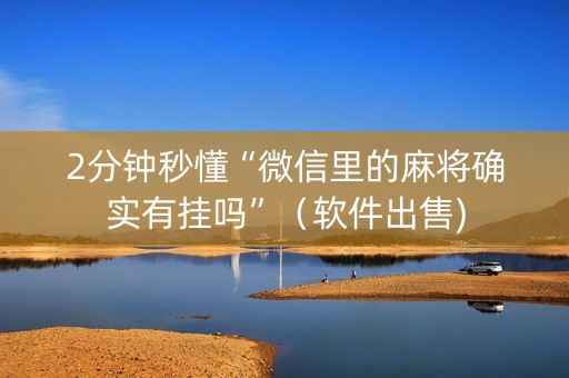 2分钟秒懂“微信里的麻将确实有挂吗”（软件出售)