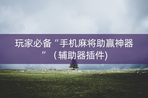 玩家必备“手机麻将助赢神器”（辅助器插件)