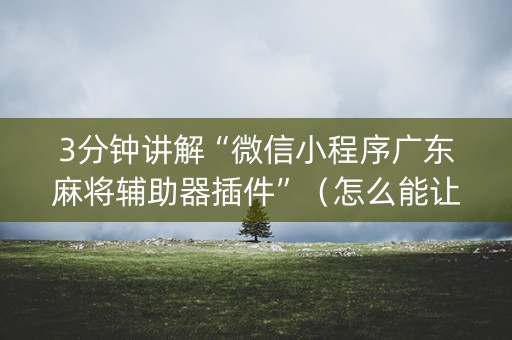 3分钟讲解“微信小程序广东麻将辅助器插件”（怎么能让牌好一点)
