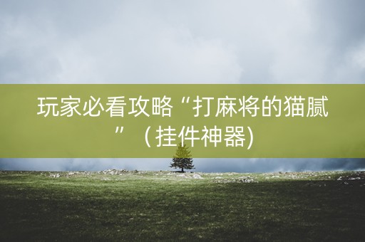 玩家必看攻略“打麻将的猫腻”（挂件神器)