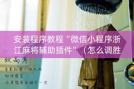 安装程序教程“微信小程序浙江麻将辅助插件”（怎么调胜率)