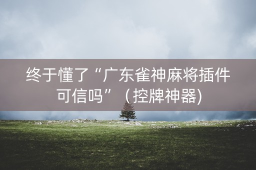 终于懂了“广东雀神麻将插件可信吗”（控牌神器)