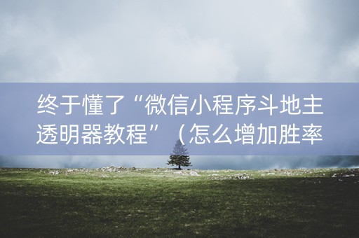 终于懂了“微信小程序斗地主透明器教程”（怎么增加胜率)