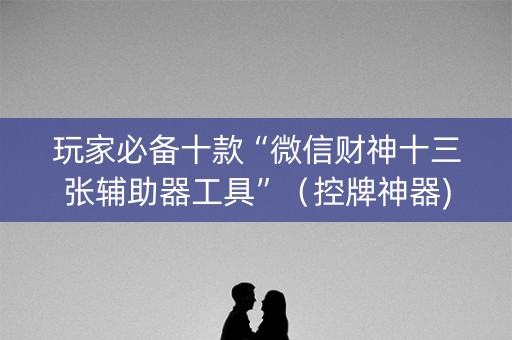 玩家必备十款“微信财神十三张辅助器工具”（控牌神器)
