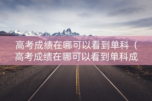 高考成绩在哪可以看到单科（高考成绩在哪可以看到单科成绩）