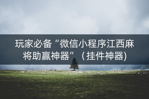 玩家必备“微信小程序江西麻将助赢神器”（挂件神器)