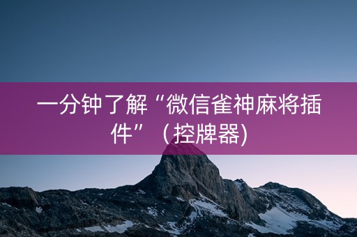 一分钟了解“微信雀神麻将插件”（控牌器)