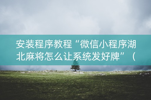 安装程序教程“微信小程序湖北麻将怎么让系统发好牌”（助攻神器)