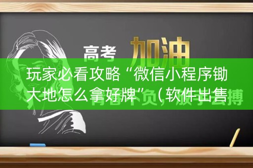 玩家必看攻略“微信小程序锄大地怎么拿好牌”（软件出售)