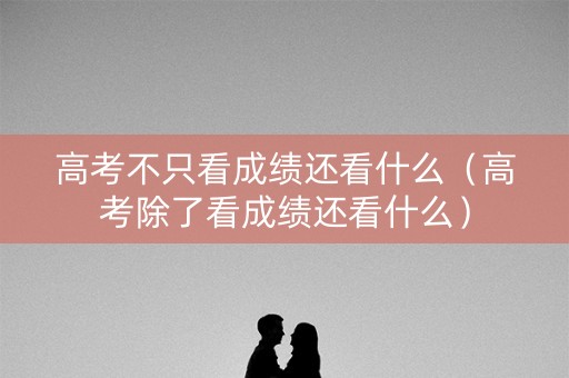 高考不只看成绩还看什么（高考除了看成绩还看什么）