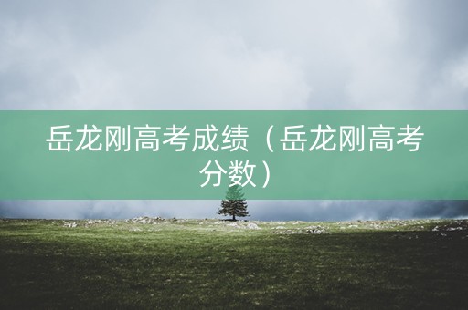岳龙刚高考成绩（岳龙刚高考分数）