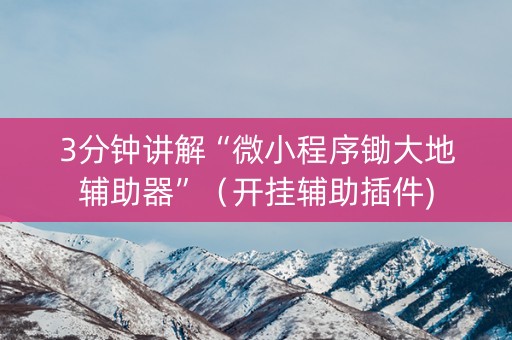 3分钟讲解“微小程序锄大地辅助器”（开挂辅助插件)