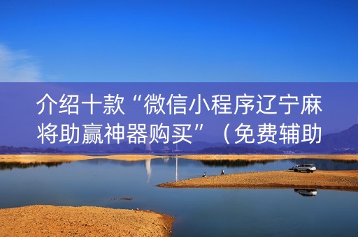 介绍十款“微信小程序辽宁麻将助赢神器购买”（免费辅助)