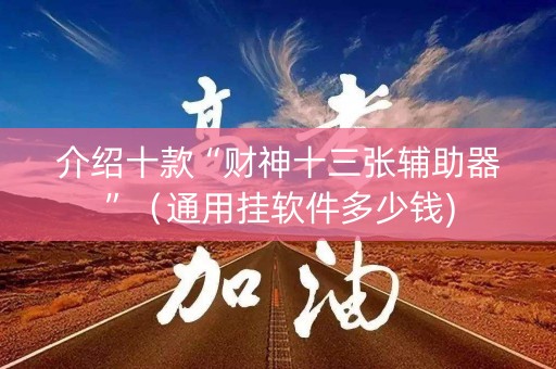介绍十款“财神十三张辅助器”（通用挂软件多少钱)