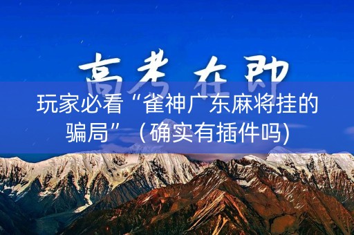 玩家必看“雀神广东麻将挂的骗局”（确实有插件吗)